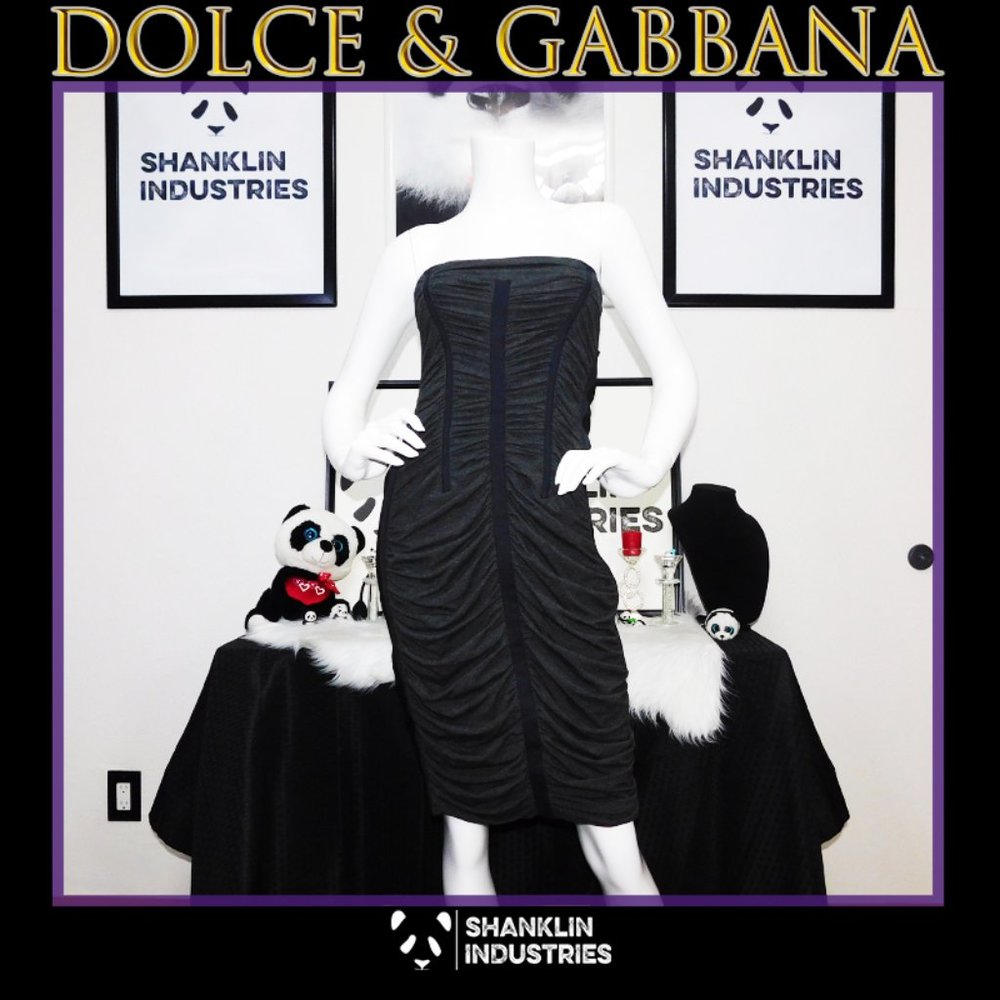 🤍🐼DOLCE & GABBANA🐼🤍 Zip Up Sleeveless Corset Dress SZ 38